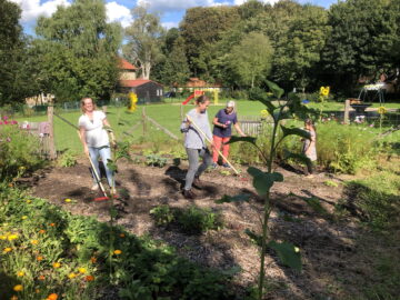 Maren Wendel, Kerstin Steche und Uta Klingschat (v.l.) bei der Gartenarbeit am Johannes-Stift.