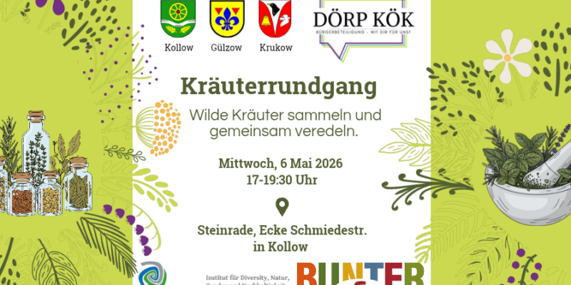 Einladung zum Kräuterrundgang 2026 in Kollow. Wilde Käruter sammeln und gemeinsam veredeln. Mittwoch, 6. Mai 2026, 17 Uhr bis 19:30 Uhr. Steinrade, Ecke Schmiedestraße in Kollow