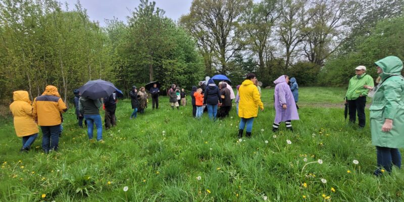 Eine Gruppe von Menschen in wetterfester Kleidung steht verteilt auf einer Wiese mit hohem Gras.